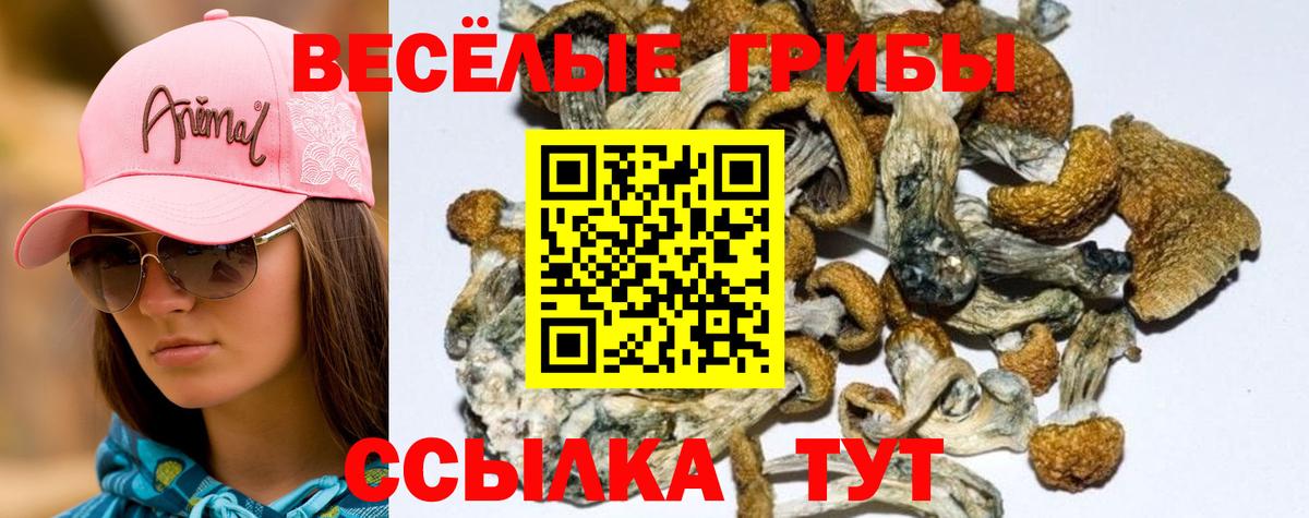 Галлюциногенные грибы Magic Shrooms  Вход с VPN  Советская Гавань 